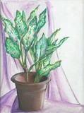 by Gayatri Ketharaman