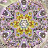 by Sara Deutsch
