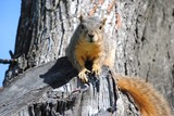 by Debra Kott