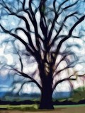 by Holly DeLaughter