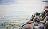 by Dianne Nungesser