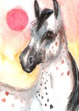 by Debra Kersey