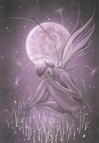 by Jessica Galbreth