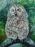 by KAY DAWSON