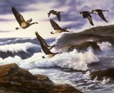 by Chris J W Gregg