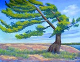 by Bill   Lishinski