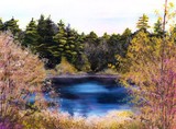by Bill   Lishinski