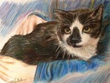 by Bonnie Welch