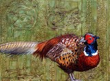 by Erika Schulz