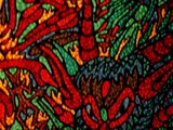 by samuel bohorquez