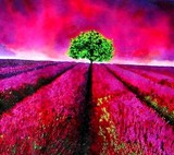 by Marie-Line vasseur