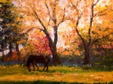 by andreia medlin