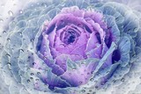 by Susan Moss