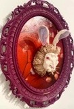 by vanessa schiavone