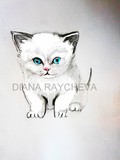 by diana raycheva