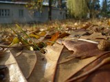 by Michal Dunaj