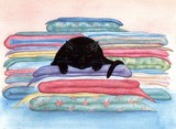 by Allison Kuehn