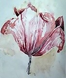 by Dana Koffenberger