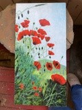 by Zofia Wilamowska