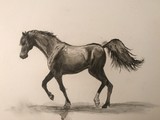by Brittany Melan