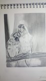 by yubirna paulino