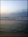by Hazel Apricot Sama