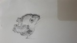 by Tshepiso Moeketsi