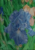 by Jennifer Herlihy