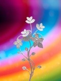 by Mihaela B