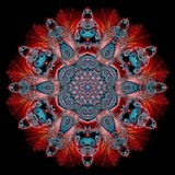 by Digital Crafts