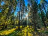 by Alexander Leo