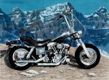 by Gayle Taylor