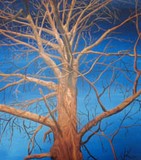 by Gayle Taylor