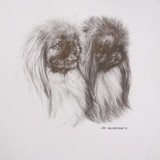 by Jodi McFarland