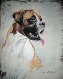 by Jodi McFarland
