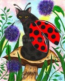 by Carrie Hawks