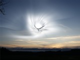 by Patrik