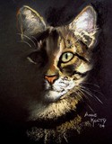 by Anne Kelty