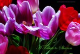 by DEE JOBES PHOTOGRAPHY