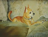 by Linda Eades Blackburn