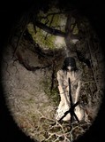 by Lisa Brewer