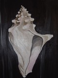 by Sandy Binnquist