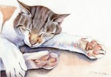 by Diane Young