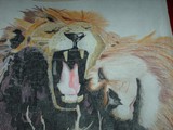 by alexandra vansach