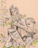 by Cindy Lambert