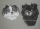 by Joanne Simpson-Connor