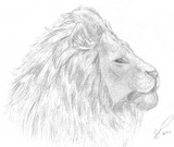 by Jessica 