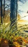 by VELYKIO - gintautas velykis -