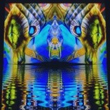 by Barry Huyett