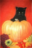 by Ruth Kauffman